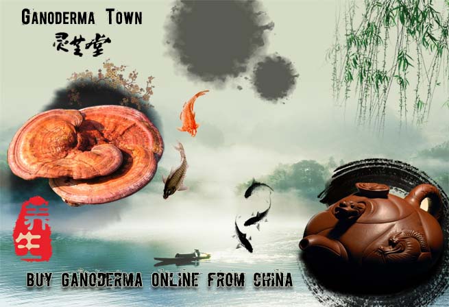 Buy Ganoderma Online from china