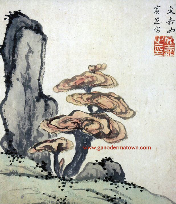 Ganoderma Ming Dynasty Chinese painting appreciation