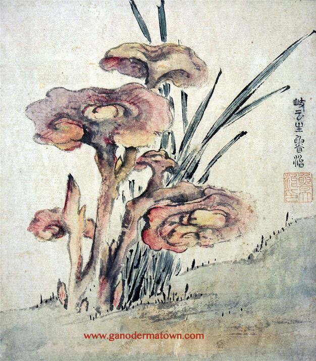 Ganoderma Ming Dynasty Chinese painting appreciation