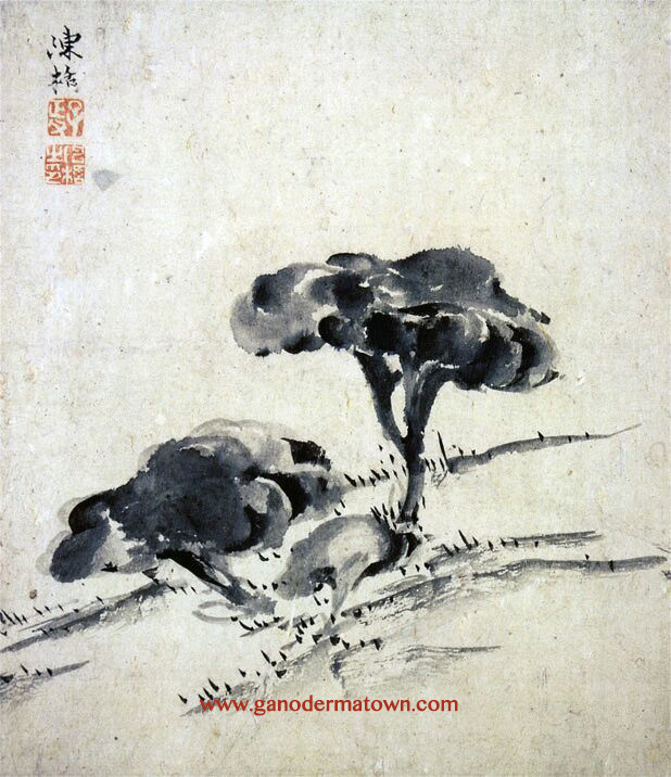 Ganoderma Ming Dynasty Chinese painting appreciation