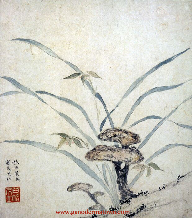 Ganoderma Ming Dynasty Chinese painting appreciation