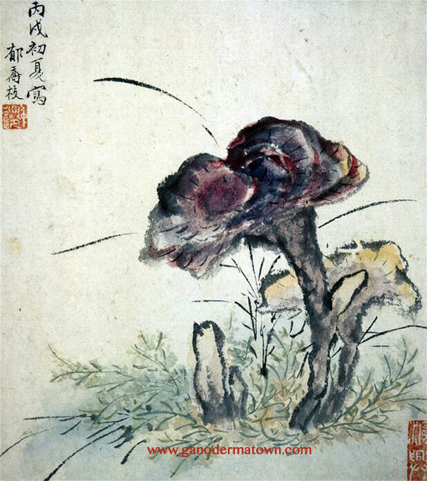 Ganoderma Ming Dynasty Chinese painting appreciation